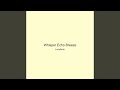 Whisper Echo Breeze