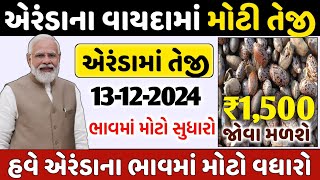 એરંડાના ભાવમાં કેટલો વધારો થશે? | 13-12-2024 | આજના બજાર ભાવ | એરંડા નો ભાવ |commodity Trend #arenda