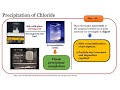 che 226 experiment 2 prelab video gravimetric analysis of a soluble chloride