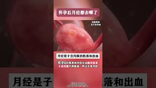 怀孕后月经都去哪了 医学科普 硬核健康科普行动  科普一下 女性