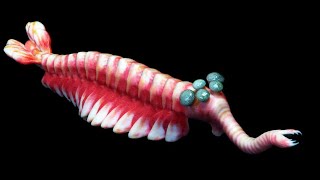 Smallest and Strangest Prehistoric Creatures