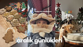 2 günlük vlog | 2025'in ilk günleri 🌧️ , İş-Ev-Yemek-Kedi! ✨