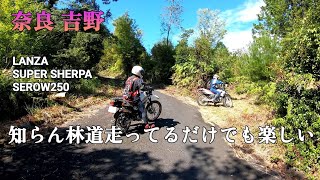 【奈良 吉野】新規林道を探索① 迷走編