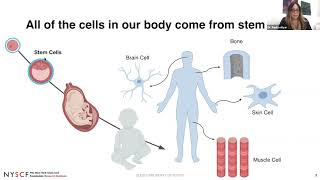 Virtual Classroom: Stem Cells 101 (Grades 7-12)