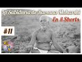 #Shorts [11] La Sabiduría de RAMANA MAHARSHI🙏🕉 Audiolecturas en Español 📖🗣