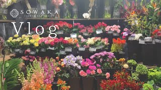 《花屋のVlog》今日の花部屋 | カレンダーおひろめ