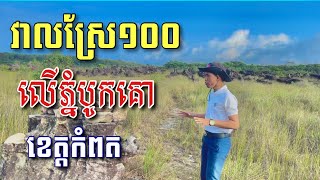 វាលស្រែ១០០ លើភ្នំបូកគោ