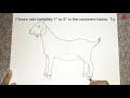 how to draw a goat outline drawing easy step by step goat sketch for beginners to follow