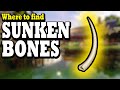 Where to Find SUNKEN BONES in Grounded 2023