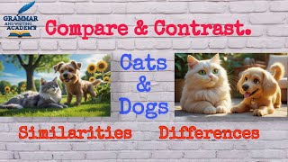 The Real Difference Between Cats and Dogs for Pet Lovers