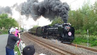 2021年5月9日 信越線　西松井田駅　→　横川駅間　全力で25°の急勾配を力いっぱい上がっていく 蒸気機関車D51 498号幾