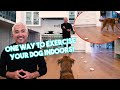 One GREAT way to Exercise with Your Dogs while you #StayHome! (Ignoring Food!)