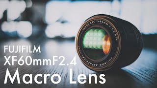 未経験者必見！Macroレンズのすすめ！XF60mmF2.4 R Macro xt4 xpro3富士フイルム