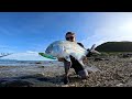 coral beach fishing