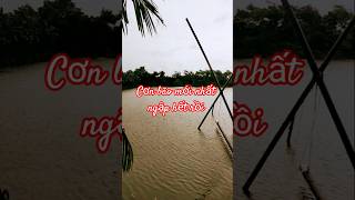 cơn bão mới nhất ngập hết rồi #thoitiet #bantinthoitiet #dubaothoitiet #thoitietvtv