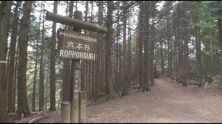 B135 空海が歩んだ高野山町石道Ⅱ-4 ＜138町石～六本杉峠＞