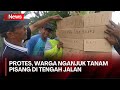 9 Tahun Jalan Rusak Tak Diperbaiki, Warga Nganjuk Tanam Pohon Pisang di Tengah Jalan!