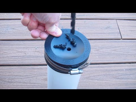 Why does my stink pipe smell?