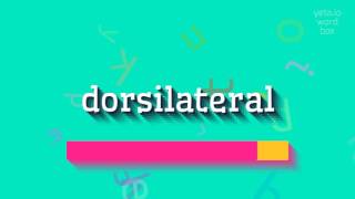 DORSILATERAL ਨੂੰ ਕਿਵੇਂ ਉਚਾਰਨਾ ਹੈ?  #ਡੋਰਸੀਲੇਟਰਲ (HOW TO PRONOUNCE DORSILATERAL? #dorsi