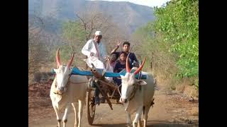 गोकुळ कृषी पर्यटन ब्राह्मण भोर या ठिकाणी संपन्न झालेले निसर्ग निवासी शिबिर.03/05/2022