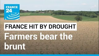 France hit by drought: Farmers bear the brunt • FRANCE 24 English