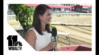 More than just the race: Preview the Preakness entertainment