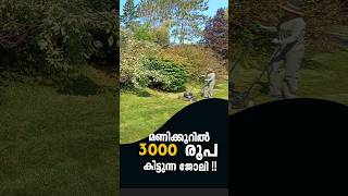 ഈ ജോലിക്ക് മണിക്കൂറിൽ 3000 രൂപ ശമ്പളം? 🥵🇨🇦🇮🇳  #dailyvlog #minivlog #canada #mallukidcanada