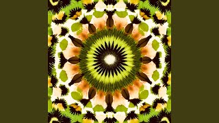 Kiwi Kaleidoscope