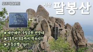 서산 팔봉산 1~8봉 싹쓰리!! 등산 코스/우중산행 팁