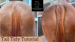 TAIL TIDY TUTORIAL | for the pulled look, without the pain