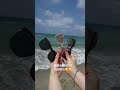 🏖️炎炎夏日到海邊，除了防曬油之外，也可以試試超抗uv的物理防曬們！ 熱浪 海邊 防曬 物理防曬 summer