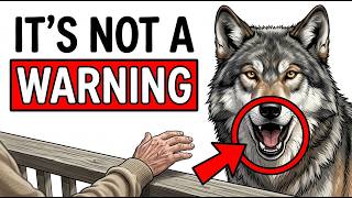9 Things Wolves Do That Most People Completely Misunderstand