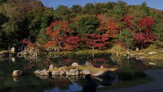 天龍寺 曹源池庭園 2017年11月13日 秋【京都の紅葉】