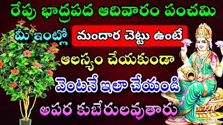 రేపు భాద్రపద ఆదివారం మీ ఇంట్లో మందార చెట్టు ఉంటే ఆలస్యం చేయకుండా ఇలా చేయండి