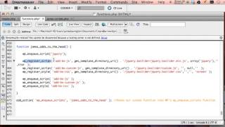 Adding Scripts & Stylesheets with WP enqueue in Wordpress