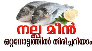 മീൻ നല്ലതാണോ...?|Is the fish good ...?|क्या मछली अच्छी है ...? |