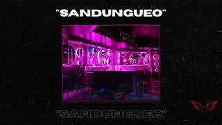 "SANDUNGUEO"💃🍑- Viva El Perreo ❌ Jowell & Randy ❌ Guaynaa / Reggaeton perreo type beat 2020