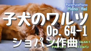 【ピアノ①-30】子犬のワルツ　Op.64-1　ショパン作曲　ピアノ演奏Rei 　♪　Chopin Waltz  Op.64-1(Minute Waltz)    Piano：Rei