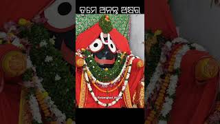 କାର୍ତ୍ତିକ ମାସରେ ଦିଅଁ ଦର୍ଶନ #entangled_vives #devotionalsong #odiabhajan #kartikamasa