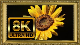 The Art Corner TV | TV Art Screensaver | 3 Hours Framed Painting | TV Wallpaper | 8K