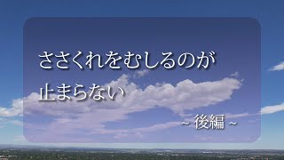 「ささくれをむしるのが止まらない」後編