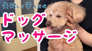 ドッグマッサージで愛犬を傷つけないために知っておくべき事