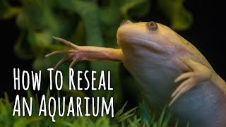 DIY - How To Reseal An Aquarium