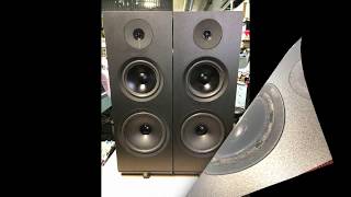 Riparazione  Woofer and midrange AR Model 142 (Solo prima e dopo l'intervento)