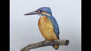 How to paint a kingfisher in watercolor | watercolor painting tutorial of a kingfisher bird