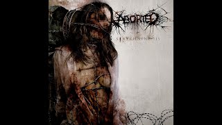 Aborted - The Chyme Congeries