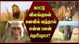 காட்டு விலங்குகள் கனவில் வந்தால் என்ன பலன் தெரியுமா?