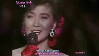 계은숙 참새의눈물 가사 (교차편집) 한글 자막 가사 (stage mix) 계은숙 일본노래