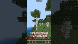 エリトラを使うときの違い #マインクラフト　#shorts