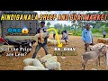 Hindiganala Sheep And Goat Market | H-cross Market Full Detail Video